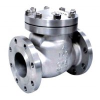 Check Valve